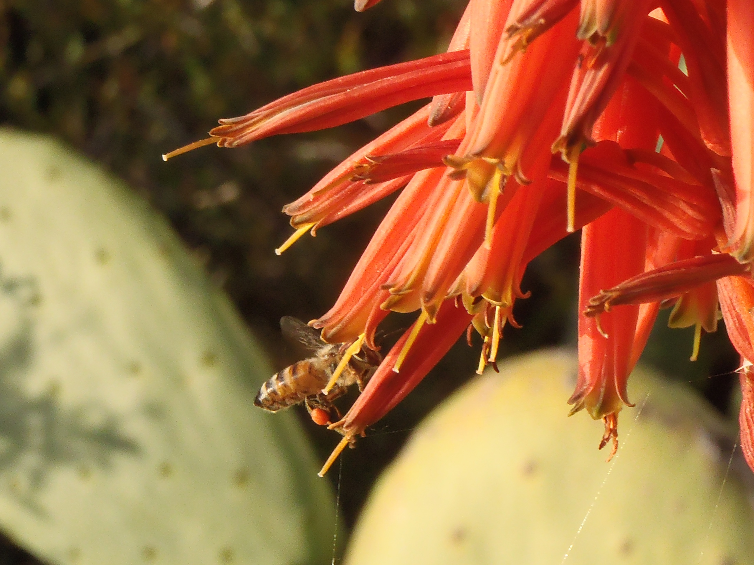 My Approach to Photography